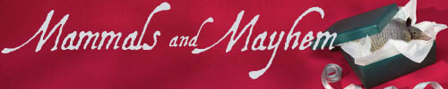 Mammals and Mayhem