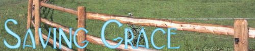 Saving Grace